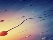 广州试管婴儿成功率影响因素及优化策略探讨