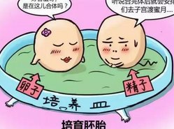 试管胚胎不破裂？全方位解决方案助你欣运