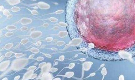 永泰助孕中心_特殊助孕首选_烟台市三代试管机构在线咨询