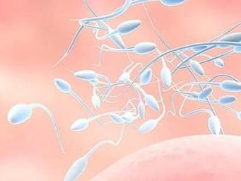 子宫内膜容受性检查达标的关键及试管移植前评估的重要性